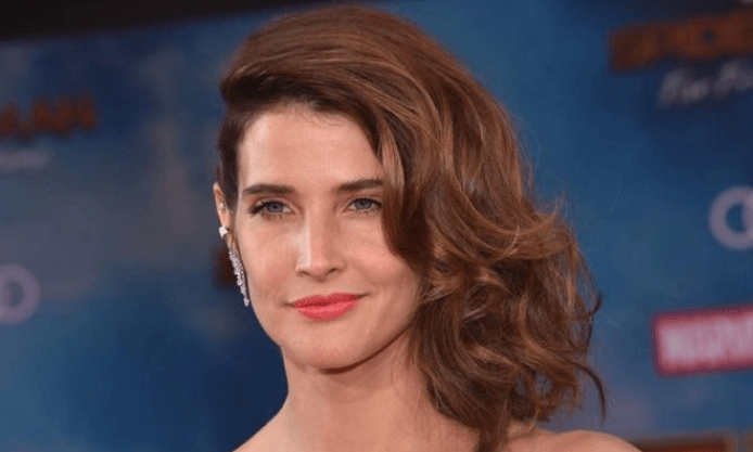 Cobie Smulders Net Worth