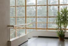 Steph Pappas Net Worth