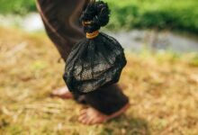 andrew santino s comedy earnings