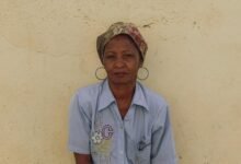 dale brisby s biography details