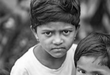 julie tsirkin s ethnic background