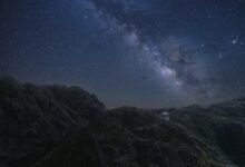 rising star s physical stats