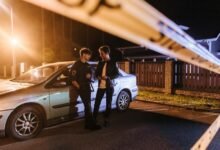 safety line watch report